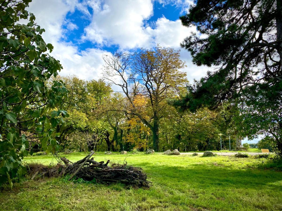 Gite De Corsas Saint-Victor  Buitenkant foto